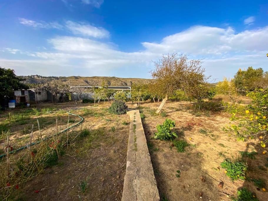 Villa Caliquena, Casa De Campo Torrent  Dış mekan fotoğraf